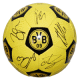 BVB Fussball