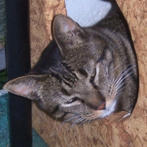 Juanito in seiner Villa